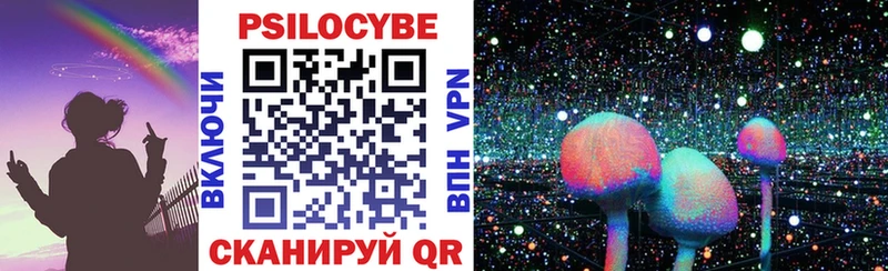 где купить наркоту  Сураж  Галлюциногенные грибы Psilocybine cubensis 