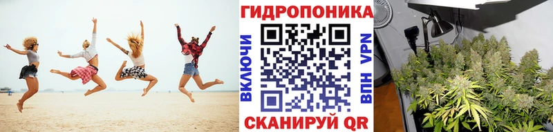 дарнет шоп Сураж Шишки марихуана конопля